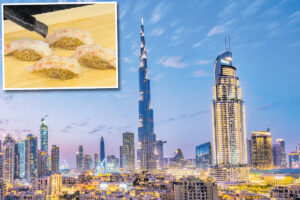 Eat, drink, sleep, repeat: Foodie delights in Dubai