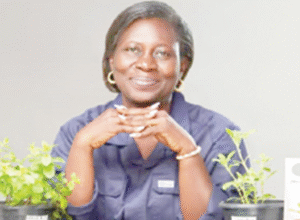 Why I introduced seed, seedlings as souvenir at corporate, social gatherings — Olatoye