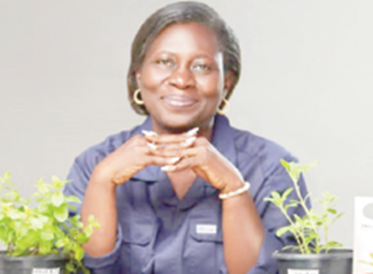 Why I introduced seed, seedlings as souvenir at corporate, social gatherings — Olatoye