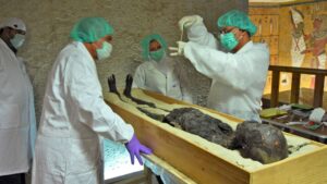 How ‘Pharaoh’s curse’ may help fight CANCER after leukaemia-battling chemical found in fungus linked to King Tut deaths