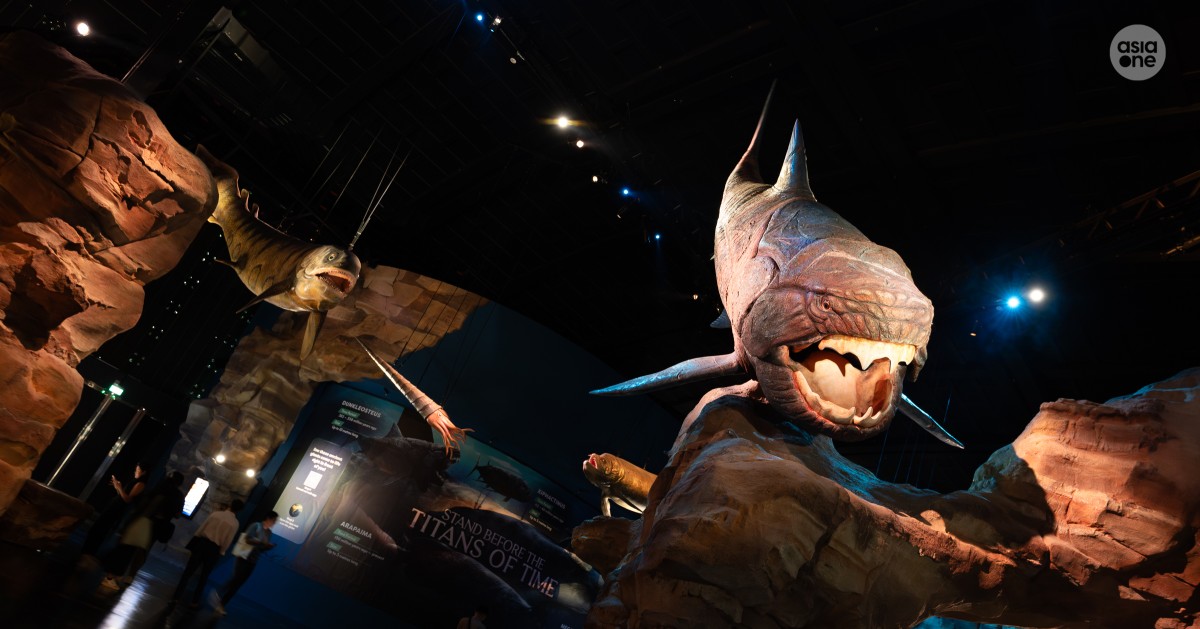 Life-sized animatronics, 22 immersive zones and more: First look at the new Singapore Oceanarium, Lifestyle News