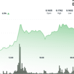Dogecoin Sees Heavy Buying From Whales as Elon Musk Supports BTC in New Party Rollout