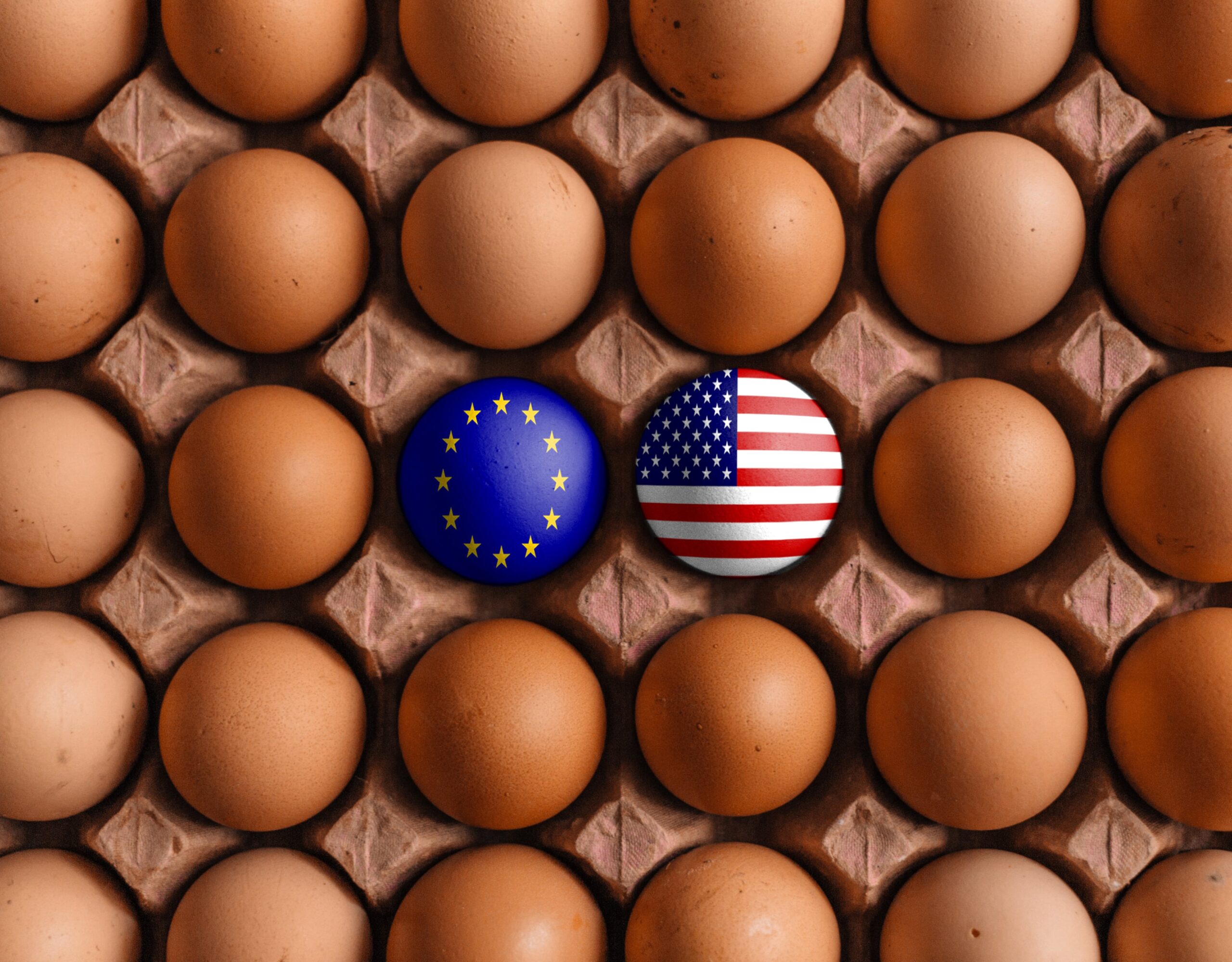 What’s happening to the price of eggs?