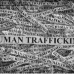 Windsor man nabbed in multi-jurisdictional human trafficking sting