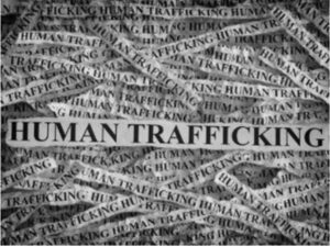 Windsor man nabbed in multi-jurisdictional human trafficking sting
