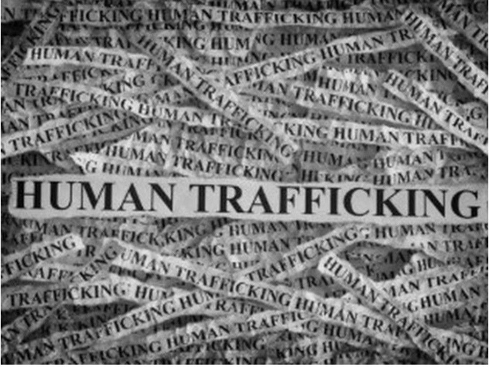 Windsor man nabbed in multi-jurisdictional human trafficking sting
