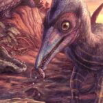 This ‘ash-winged dawn goddess’ is North America’s newest pterosaur
