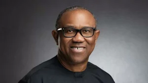 I will contest for president in 2027 – Peter Obi shuts down VP talk