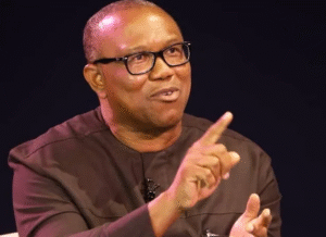 4 Years Enough To Deliver Results As Nigeria’s President – Peter Obi