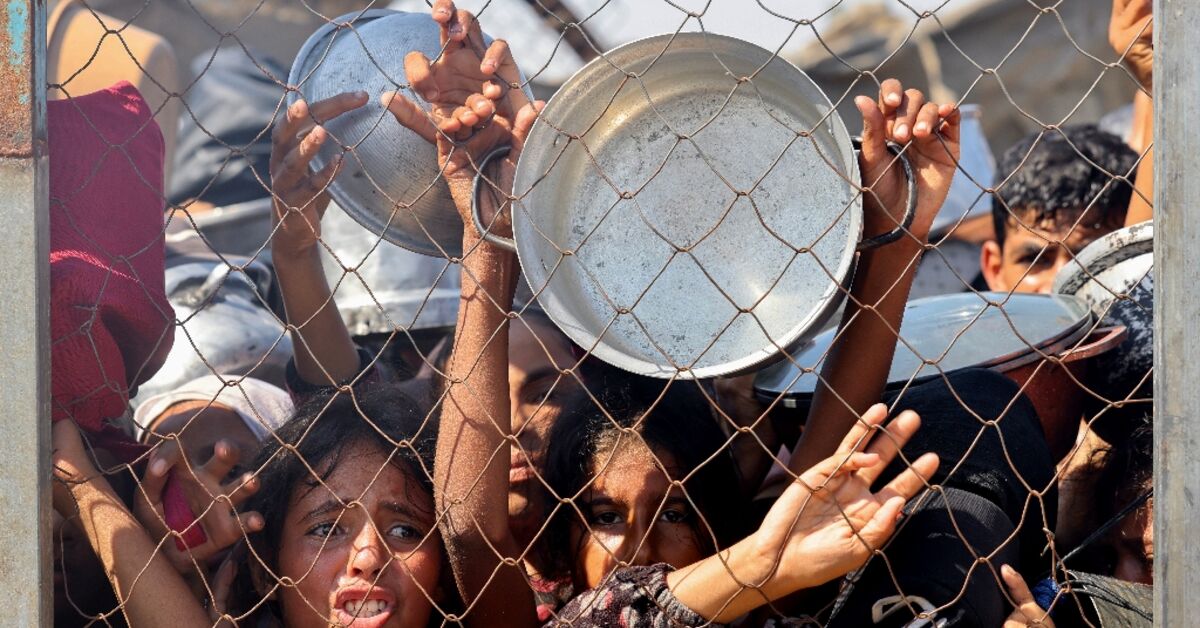 More than 100 NGOs warn ‘mass starvation’ spreading across Gaza