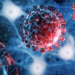 How conspiracy theories about COVID’s origins are hampering our ability to prevent the next pandemic