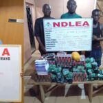 NDLEA Arrests Chinese Man, 80-Year-Old Grandma In Drug Busts, Intercepts Cannabis In Moimoi Packs