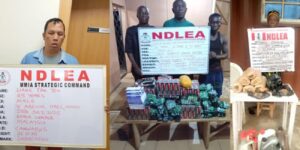 NDLEA Arrests Chinese Man, 80-Year-Old Grandma In Drug Busts, Intercepts Cannabis In Moimoi Packs