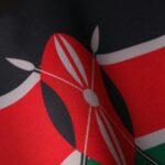 Kenya Ends Visa Requirements for Citizens of African and Most Caribbean Nations
