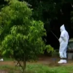 Bird flu hits Odisha: Contamination confirmed in Khordha, mass culling begins