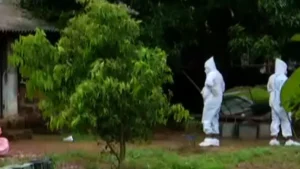 Bird flu hits Odisha: Contamination confirmed in Khordha, mass culling begins