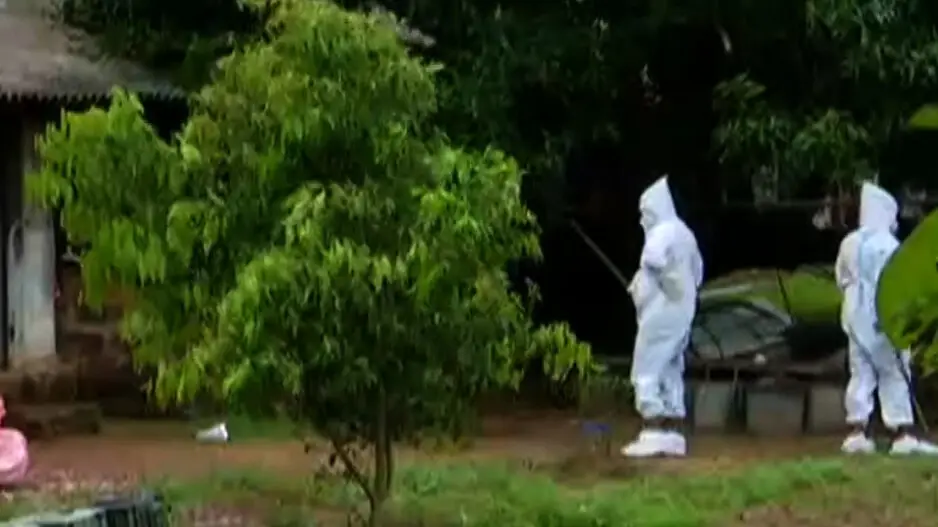 Bird flu hits Odisha: Contamination confirmed in Khordha, mass culling begins