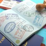 Visa row: FG pledges diplomatic resolution with US, UAE