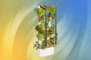 Gardyn Indoor Hydroponic Garden Review: Better Growing Through AI