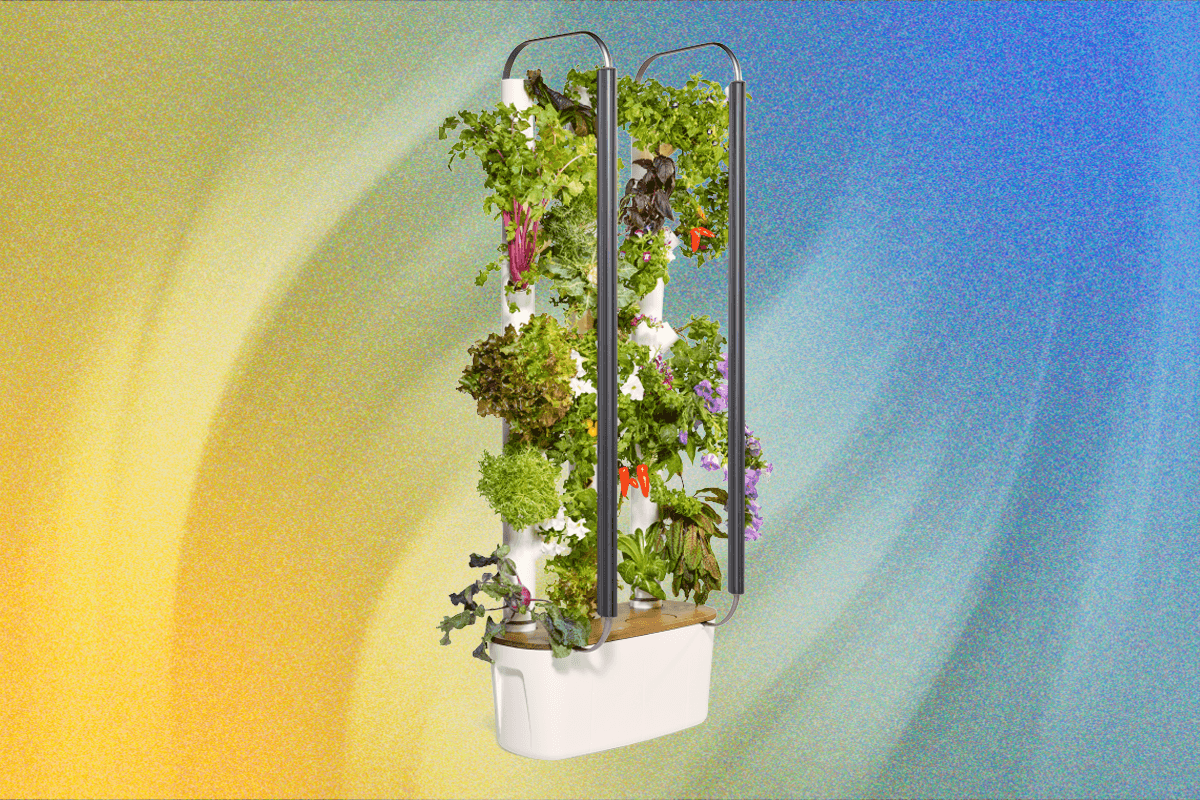 Gardyn Indoor Hydroponic Garden Review: Better Growing Through AI