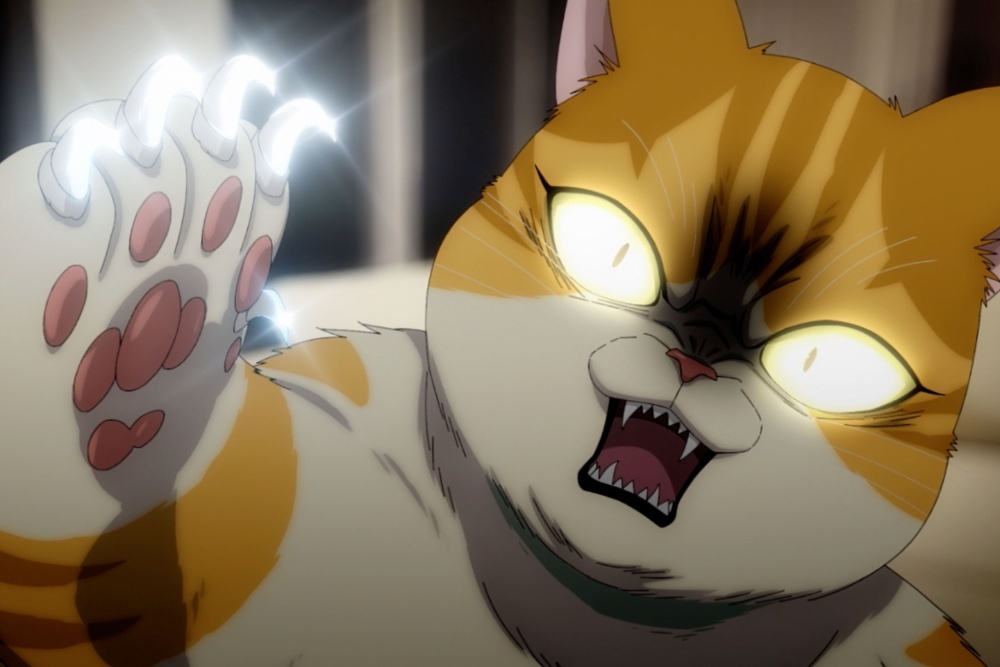 ‘Eleceed’ Webcomic Gets Anime Adaptation From Oscar-Nominated DandeLion Animation