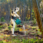 What We Misunderstand About Robots
