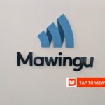 South African PE fund to acquire 35% stake in Kenya’s Mawingu Networks