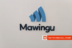 South African PE fund to acquire 35% stake in Kenya’s Mawingu Networks