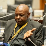 Pan-African vision: MK party backs strategic alliance with Morocco