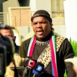 Ngizwe Mchunu says he’s in America to protect SA peace