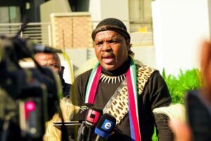 Ngizwe Mchunu says he’s in America to protect SA peace