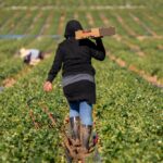 Immigrants in Europe and North America earn 18% less than natives – here’s why