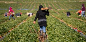 Immigrants in Europe and North America earn 18% less than natives – here’s why
