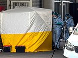 Man, 31, arrested on suspicion of murder after quadruple stabbing that killed two men at London business