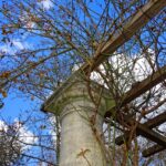 Classic vs. Modern Pergola Styles: What’s Trending in 2025?