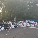 America’s Hot Garbage Summer Bites