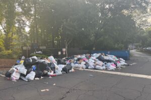America’s Hot Garbage Summer Bites
