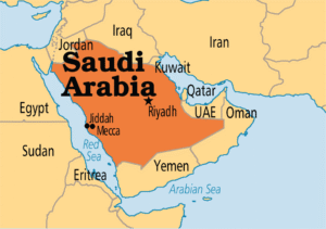 Saudi Arabia detains Nigerian woman over alleged drug-related luggage mix-up