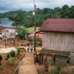Study links Afro-descendant communities to less deforestation, more biodiversity