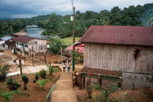 Study links Afro-descendant communities to less deforestation, more biodiversity