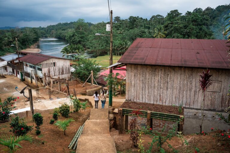 Study links Afro-descendant communities to less deforestation, more biodiversity
