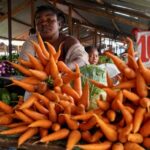 Agri-tech may be South Africa’s new frontier
