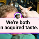 20+ Photos That Prove Owners and Their Pets Are Hilariously Alike