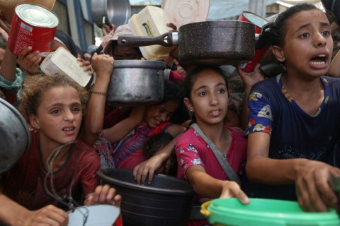 Activist comments on possible ceasefire amid deepening crisis in Gaza