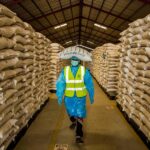 Japan’s Support Helps WFP Aid Gaza, West Bank Crisis | Mirage News