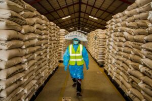 Japan’s Support Helps WFP Aid Gaza, West Bank Crisis | Mirage News