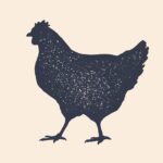 Bigger local chickens at heart of Tanmiah-McDonald’s Saudi deal