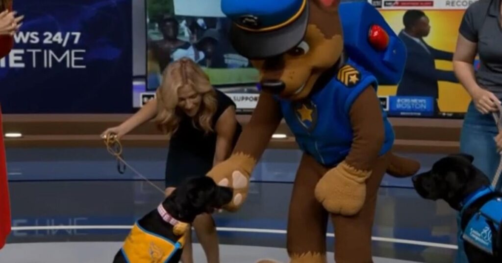 How Canine Companions service dogs help with tasks; Chase from “Paw Patrol” joins CBS News