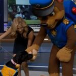 How Canine Companions service dogs help with tasks; Chase from “Paw Patrol” joins CBS News