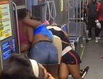 Huge catfight erupts along ‘America’s most dangerous subway line’ in Chicago where even cops fear to tread